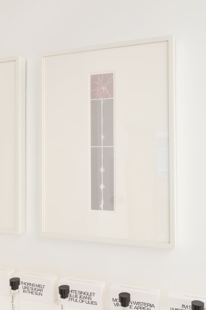 Hanabi (Blush) 3/3, 2025