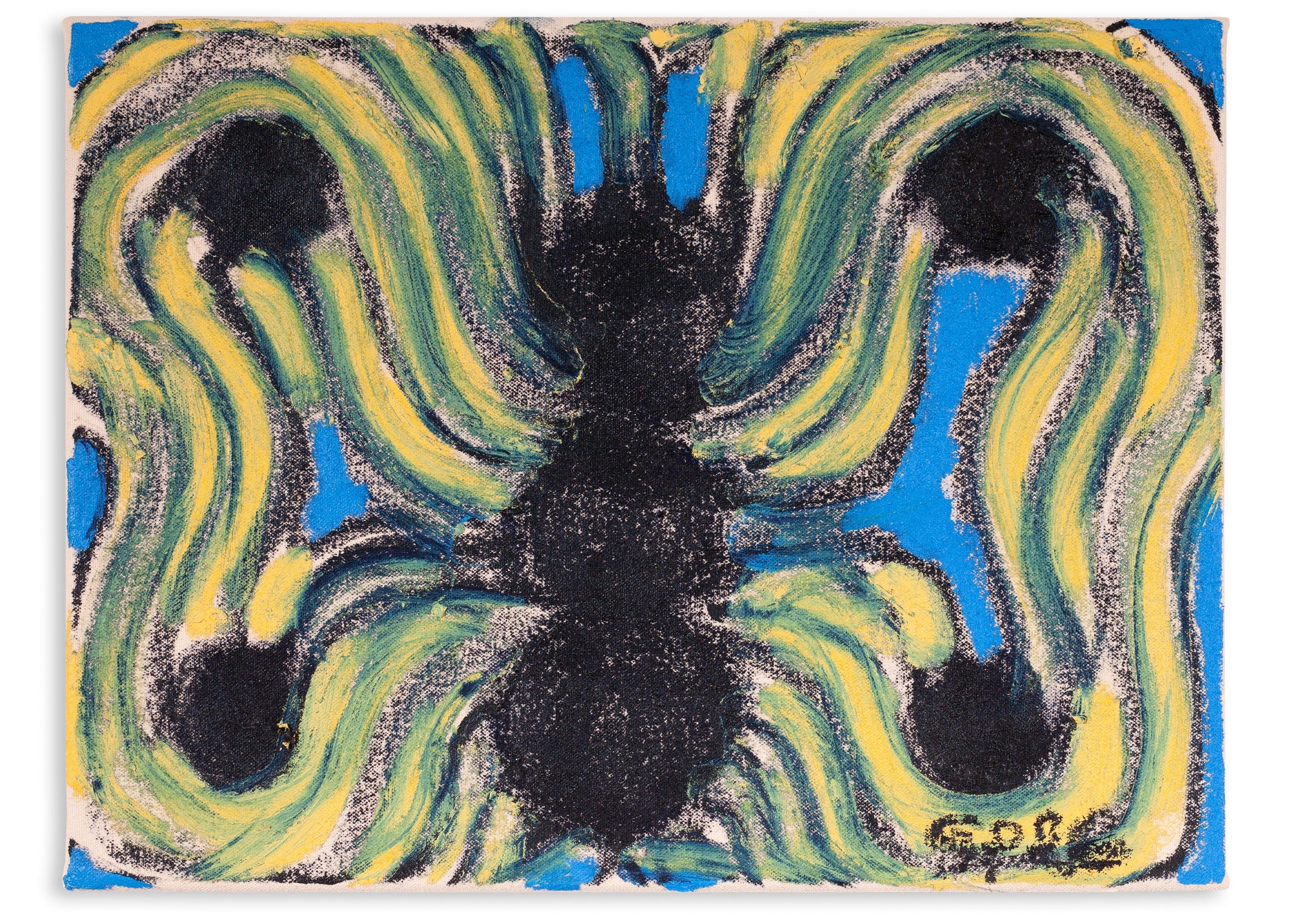 Nag cave butterfly, 2025