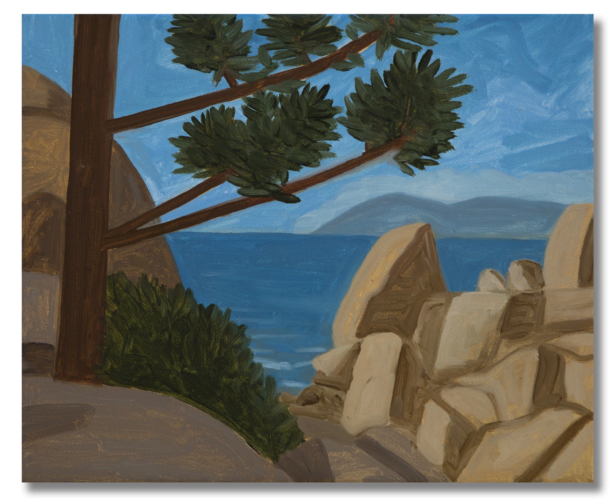 Trees and Rocks at Arthur Bay, 2021